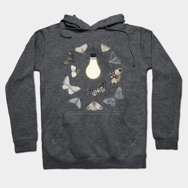 Moths to a Light Hoodie by ahadden